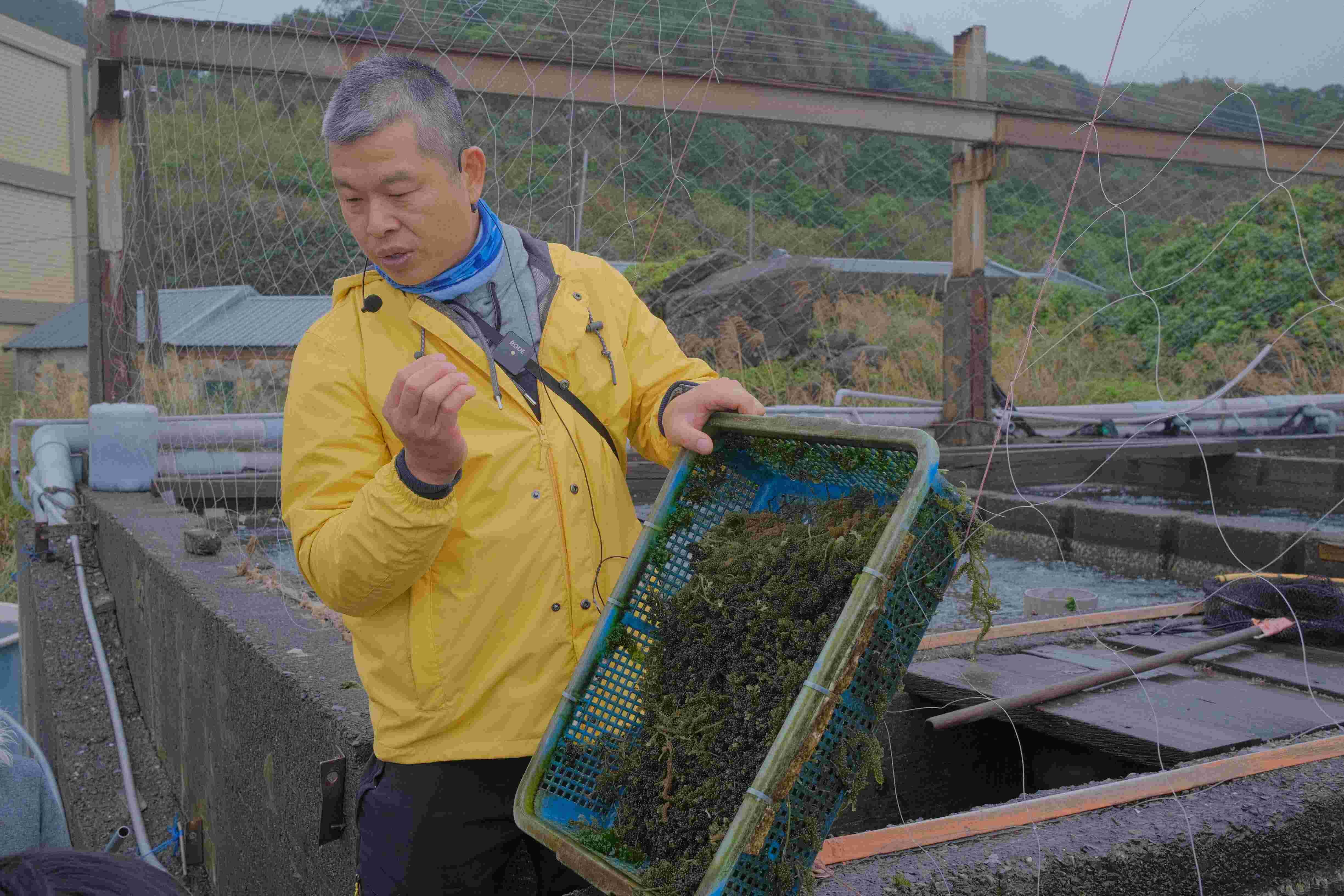 ▲新北推動校園食農教育資源。(圖/新北市農業局提供)