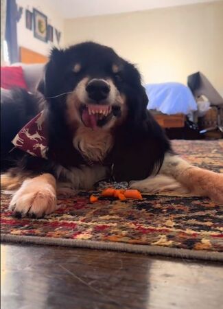 ▲。(圖/翻攝自TikTok/@zestyhan)