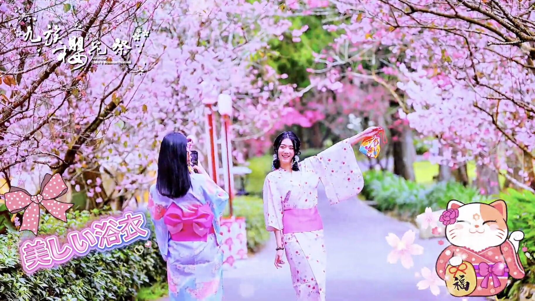 九族櫻花祭,九族文化村,賞櫻,夜櫻,追櫻,日月潭纜車,春遊,火舞,野餐,原民,部落(圖/翻攝自影片)