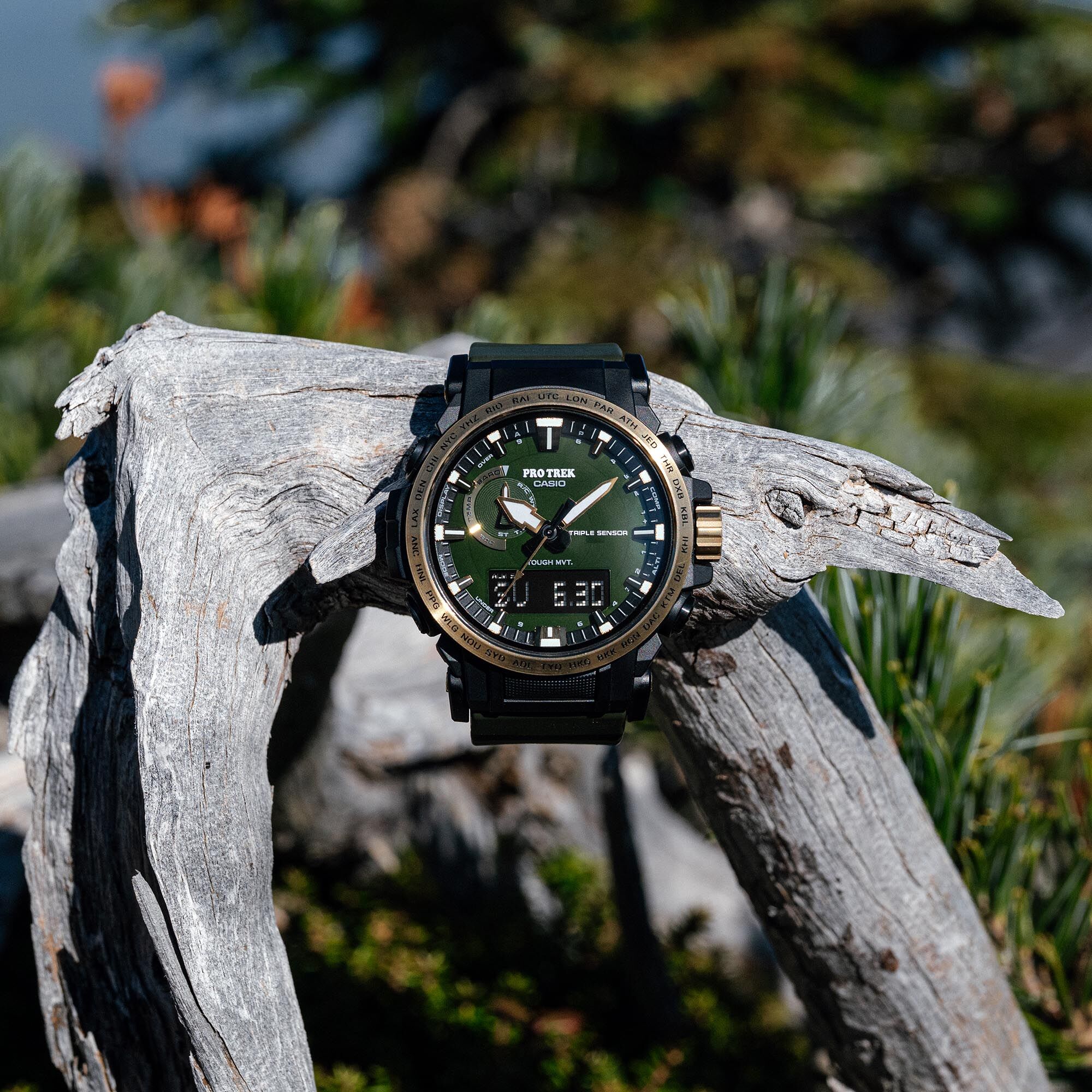 ▲▼ CASIO,Seiko 。(圖/公關照)