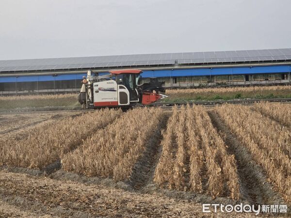 ▲萬丹契作收購價每台斤48.5元。(圖/民眾提供)