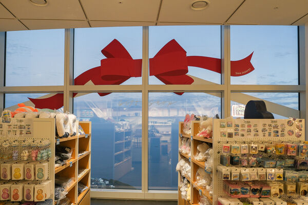 ▲▼X the Sky。(圖/部落客飛天璇的口袋授權提供)