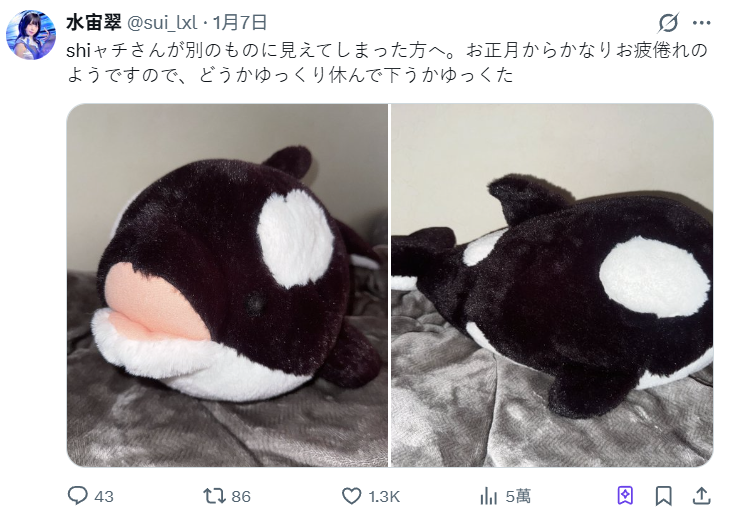 ▲▼日本女偶像水宙翠。(圖/翻攝自X/sui_lxl)