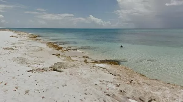 ▲▼美屬維京群島「聖克魯斯島」(St. Croix)的「德羅施海灘」(Drosch Beach)。(圖/翻攝Google Maps)