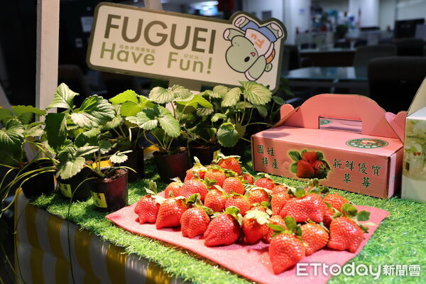 ▲南投國姓咖啡節24日登場,精品咖啡任你選再抽大獎。(圖/南投縣政府提供)