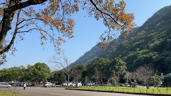 ▲石門水庫園區內,一共種植300棵低海拔梅樹,目前相繼開花。(圖/北水分署提供)