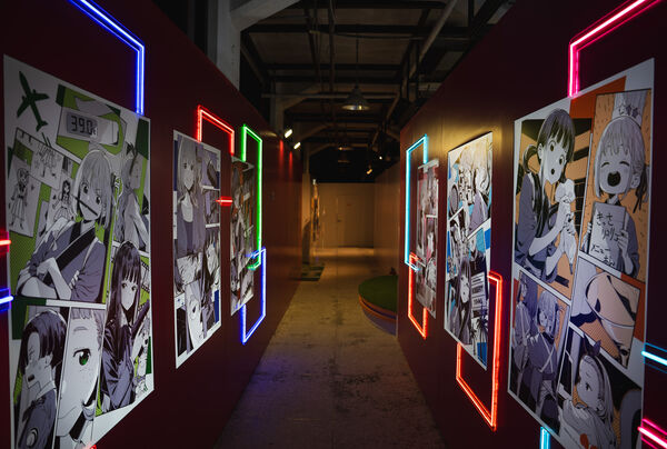 ▲▼木棉花。(圖/木棉花)