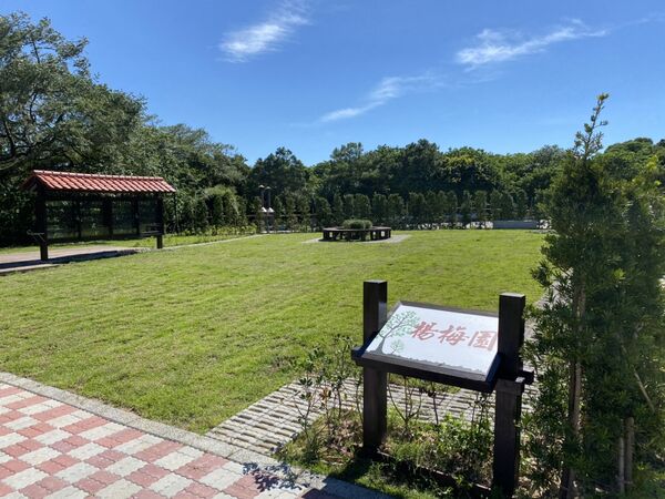 ▲桃園市民政局指出,改採樹葬者不論戶籍地均免收費用,圖為楊梅樹葬園區。(圖/市府民政局提供)