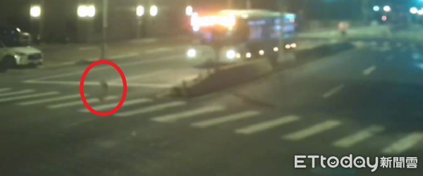 ▲三峽公車司機無視流浪犬過馬路,直接駛過將其輾斃。(圖/記者陸運陞翻攝)