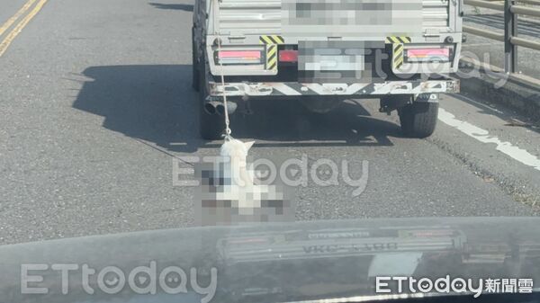 ▲嘉義小貨車「車後拖行白犬」,滿地血跡、糞便。(圖/民眾提供)