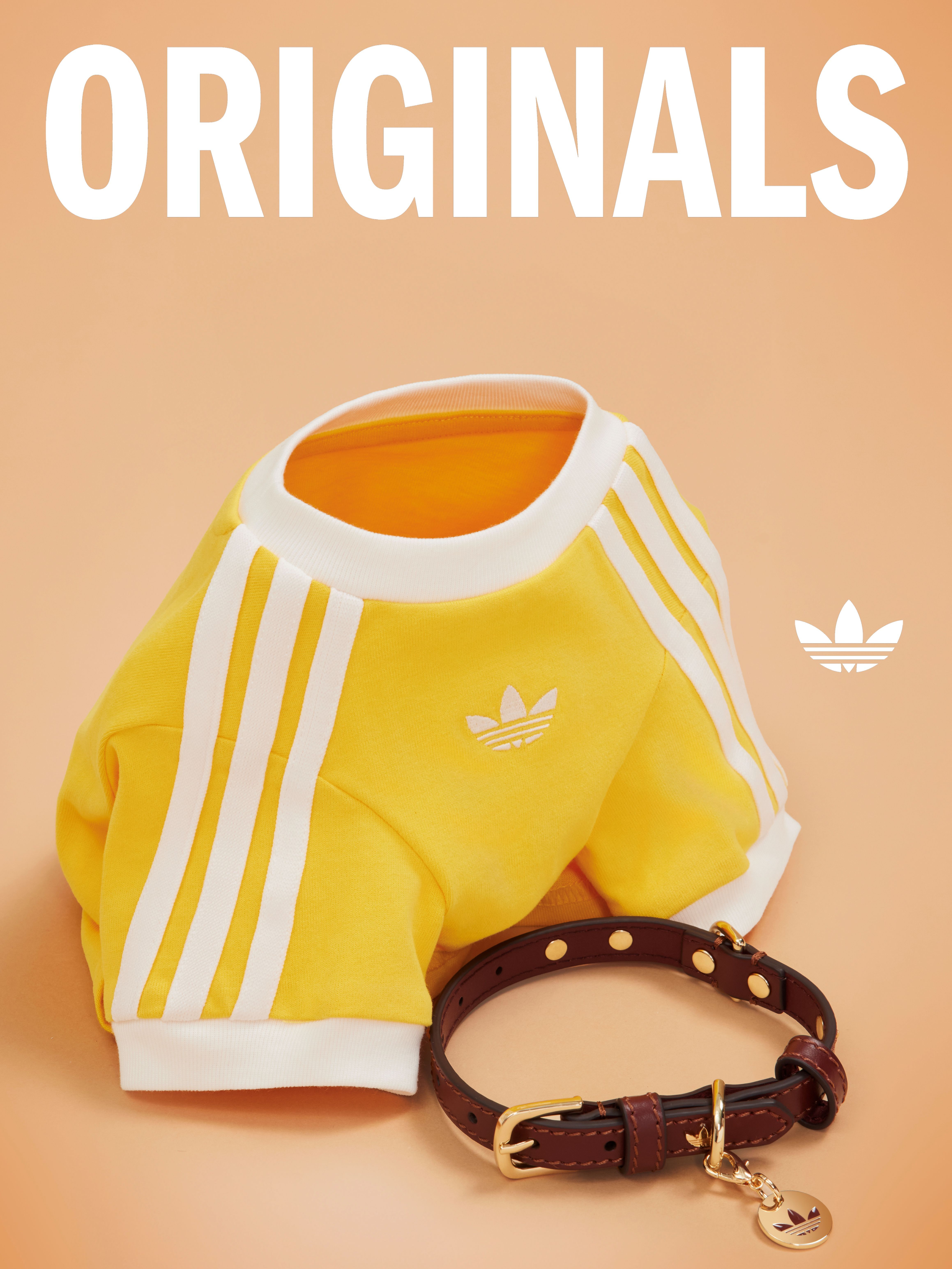 ▲▼adidas、PEDRO 。(圖/品牌提供)