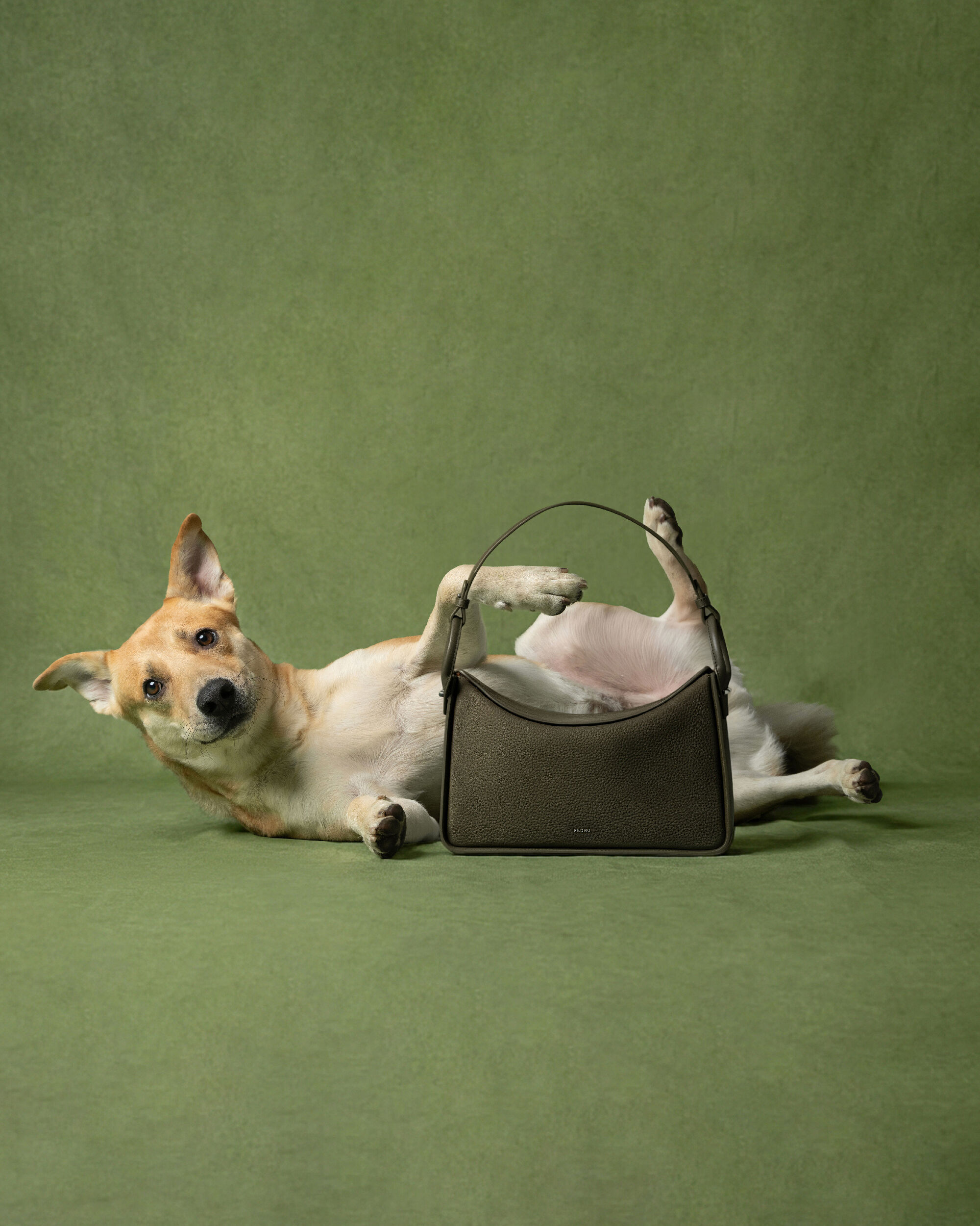 ▲▼adidas、PEDRO 。(圖/品牌提供)