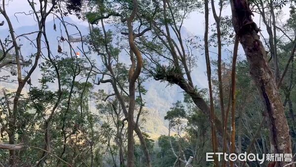 ▲▼ 古坑草嶺山林火警持續搶救中 。(圖/記者游瓊華翻攝)