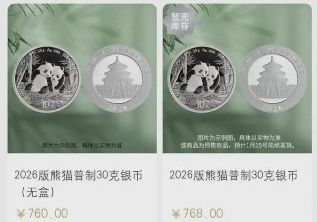 ▲大陸2026年版熊貓銀幣。(圖/翻攝極目新聞)