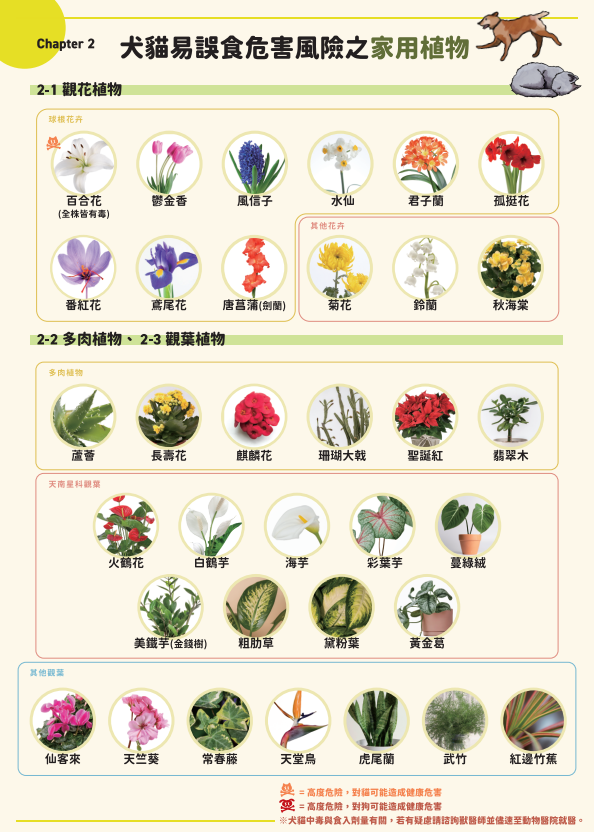 ▲農業部「寵物易誤食清單」懶人包 三大居家風險:快預防中招!。(圖/農業部寵物食品申報網)