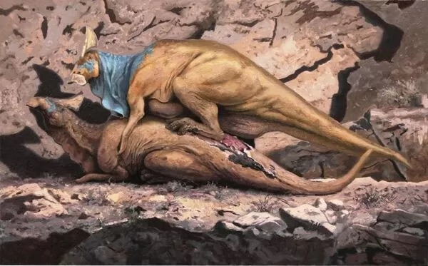 這場「愛的結合」往往伴隨著劇烈的身體創傷,導致承重的一方脊椎受損。(翻攝畫面)