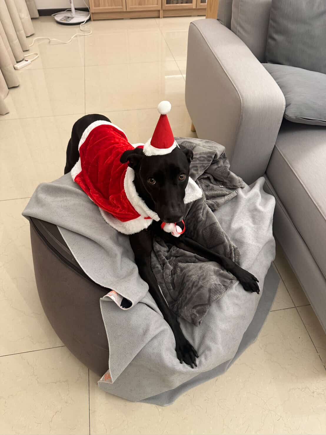 ▲奴才時隔20年首次嘗試瀏海 歐告認不出嚇到「倒退嚕」:還我媽媽。(圖/Threads & Instagram @aida0620提供,請勿隨意翻拍,以免侵權。)