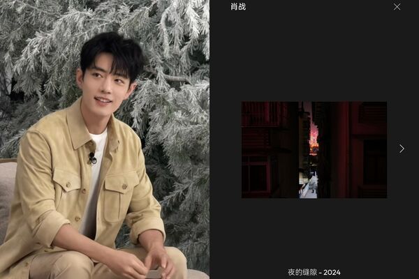 ▲▼5明星隱藏神技盤點。(圖/翻攝自)