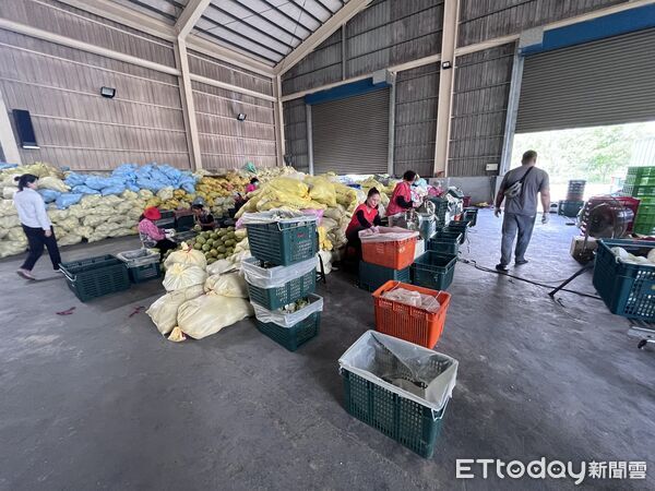 ▲▼課程內容包括栽培管理、病蟲害防治、產銷履歷制度及包裝作業流程。(圖/花蓮縣政府提供,下同)