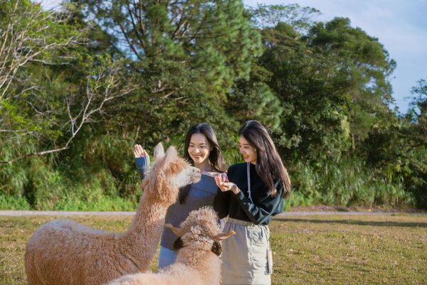 ▲關西六福莊即日起至1月26日限時5天,推出「幸福1+1寒假限時快閃住房專案」。(圖/業者提供)