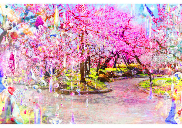 ▲▼北野天滿宮。(圖/京都市台灣事務所提供)