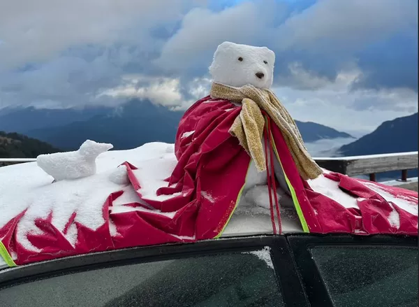 ▲▼ 合歡山下冰霰 。(圖/林業署南投分署提供提供)