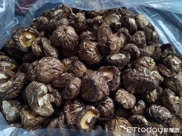 ▲▼ 。(圖/記者李陳信得攝)