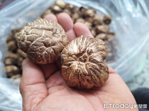 ▲▼ 。(圖/記者李陳信得攝)