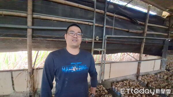 ▲▼ 。(圖/記者李陳信得攝)