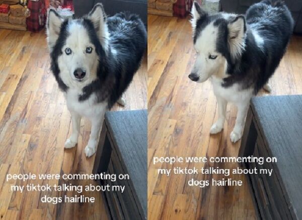 ▲。(圖/翻攝自TikTok/@anamariathebanana)