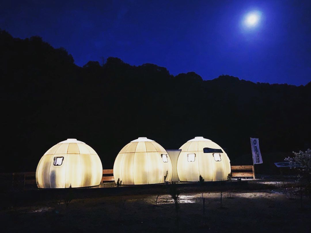 ▲日本TCL公司推出的Ezdome House。(圖/翻攝Ezdome官方Facebook)