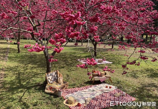 ▲▼ 。(圖/日管處提供)