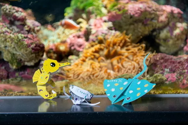 ▲Xpark親子摺學堂1/24-1/25兩日限定