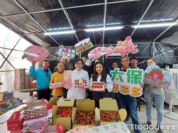 ▲▼ 「莓來玩不行」太保草莓季甜蜜登場太保市公所推7大草莓園串聯採摘地圖 專屬提盒送禮自用都吸睛 。(圖/太保市公所提供)