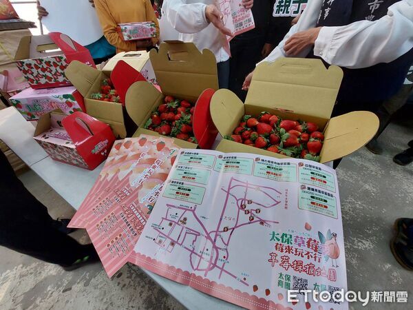 ▲▼ 「莓來玩不行」太保草莓季甜蜜登場太保市公所推7大草莓園串聯採摘地圖 專屬提盒送禮自用都吸睛 。(圖/太保市公所提供)