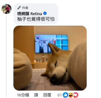 ▲▼看霍諾德攀101狂冒手汗!視網膜PO照「愛犬緊閉雙眼」。(圖/翻攝自臉書)