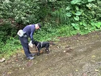 ▲▼ 。(圖/記者鄧木卿翻攝)