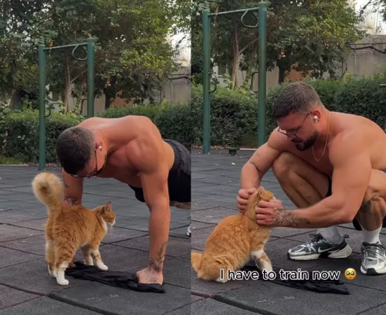 壯漢健身被流浪貓亂入。(圖/翻攝自IG@the_island_keeper)