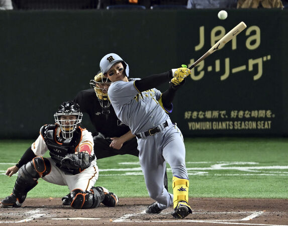 ▲森下翔太(Shota Morishita)。(圖/達志影像/美聯社)