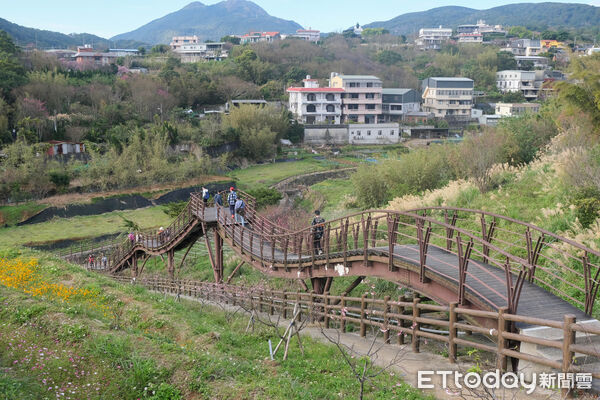 ▲鵝尾山水田,鵝尾山水田波斯菊1/25花況,陽明山夕陽。(圖/記者彭懷玉攝)