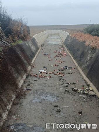 ▲苗栗縣後龍鎮外埔漁港附近大排水圳,今早被發現遭丟棄上百隻病死雞,縣府已封鎖現場和消毒,警方協助追查禍首中。(圖/記者楊永盛翻攝)