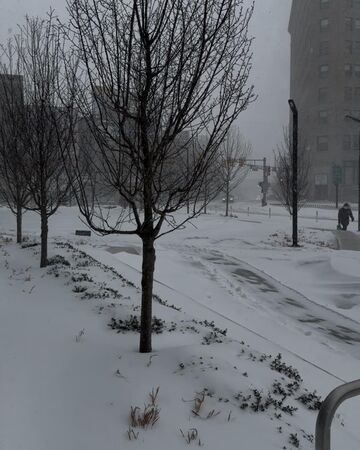 ▲▼侯昌明夫婦赴美探親滯留!遇「10年一見暴風雪」。(圖/翻攝自Facebook/侯昌明)