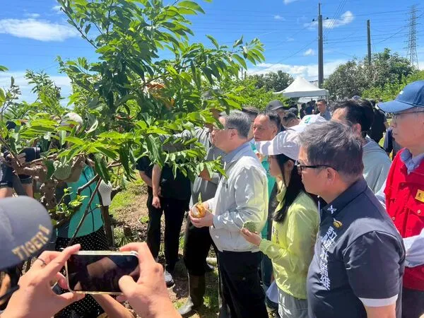 ▲▼農業部正式公告「115年釋迦及甘藍海外拓銷獎勵計畫」。(圖/陳瑩國會辦公室提供)