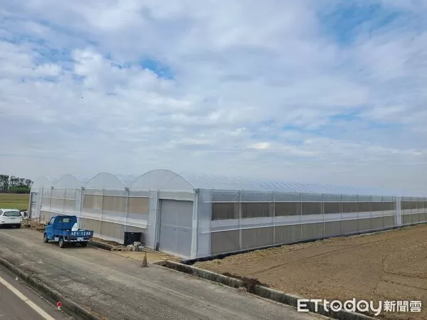▲▼ 強颱一夜倒、兩月重建好災後工程團隊助攻青農升級強固環控溫室 穩定種出頂級玉女番茄 。(圖/記者翁伊森翻攝)