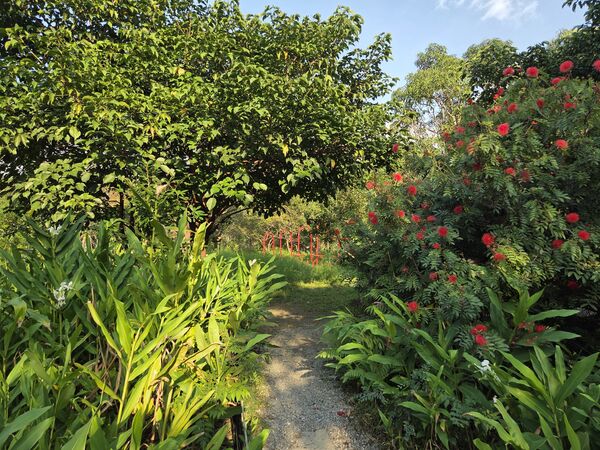 ▲大安森林公園。(圖/公園處提供)