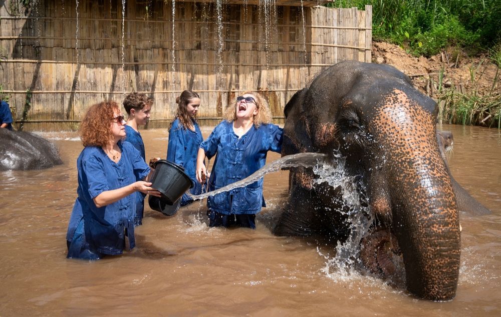 ▲▼ 泰北旅遊,清邁清萊,藝術寺廟,大象體驗,少數民族,七逗旅遊網,喬瑞旅行社。(圖/shutterstock)