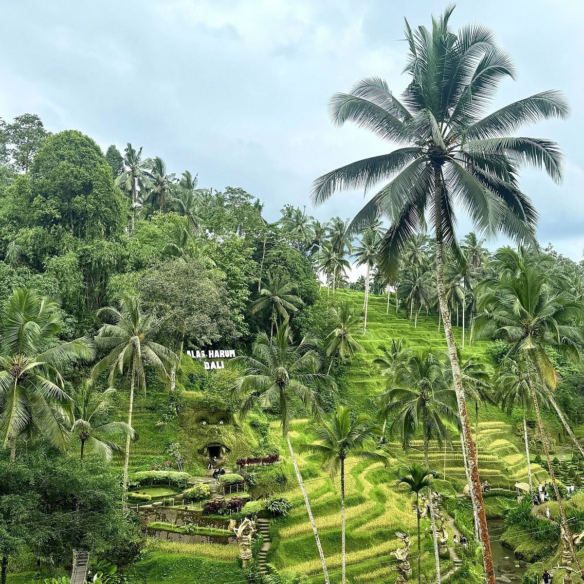 ▲▼ 峇里島,烏布,岩石酒吧,日落,水上活動。(圖/喬瑞旅行社、shutterstock)