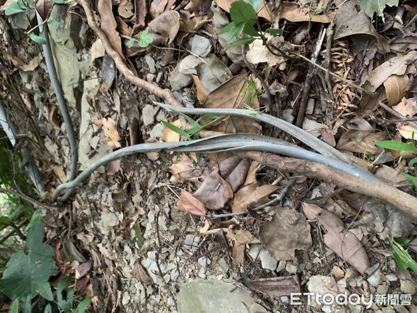 ▲仁愛分局鍥而不捨,破獲電纜線竊盜案件,呼籲民眾加強防竊。(圖/記者高堂堯翻攝)