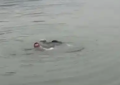 ▲▼四川退役軍人跳長江救兒童溺斃。(圖/翻攝自微博)