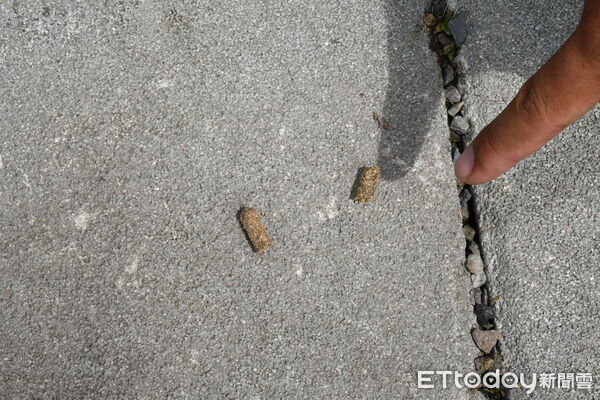 ▲▼空拍機下毒後(下圖),獸醫團隊解剖死亡動物,體內均驗出劇毒農藥「托福松」。(圖/記者游芳男翻攝。下同)